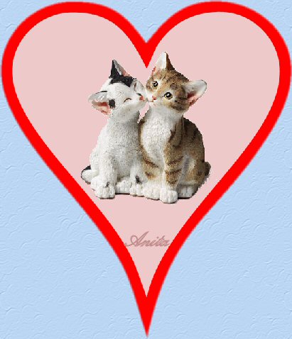 Kitten Heart